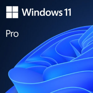 Sistema Operativo Windows 11 Pro 64 Bits PT DVD OEM
